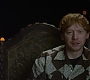 HOTN_3038.jpg