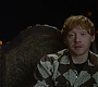 HOTN_3075.jpg