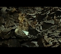 HOTN_3944.jpg