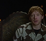 HOTN_3948.jpg