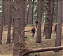HOTN_4026.jpg