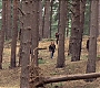 HOTN_4027.jpg