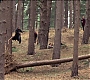 HOTN_4036.jpg