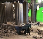 HOTN_4387.jpg