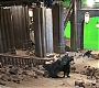 HOTN_4389.jpg