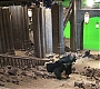 HOTN_4390.jpg