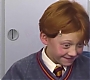 HOTN_4450.jpg