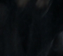 HOTN_0198.jpg