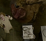 HOTN_0680.jpg