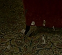HOTN_0929.jpg