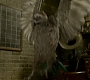 HOTN_0950.jpg