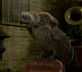 HOTN_0951.jpg