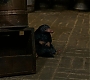 HOTN_0982.jpg