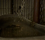HOTN_1047.jpg
