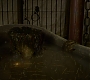 HOTN_1048.jpg