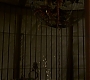HOTN_1050.jpg