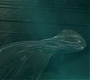 HOTN_1227.jpg