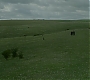 HOTN_1380.jpg