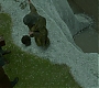 HOTN_1427.jpg