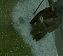 HOTN_1437.jpg