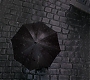 HOTN_1614.jpg