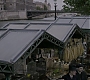 HOTN_1648.jpg
