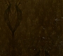 HOTN_1734.jpg