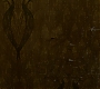 HOTN_1735.jpg