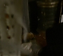 HOTN_1741.jpg