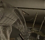 HOTN_1748.jpg