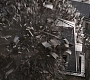 HOTN_1750.jpg