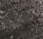HOTN_1751.jpg