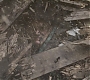 HOTN_1757.jpg