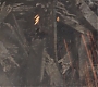 HOTN_1761.jpg