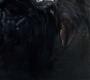 HOTN_1764.jpg