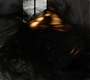 HOTN_1766.jpg