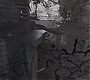 HOTN_1769.jpg