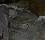 HOTN_1773.jpg