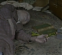HOTN_1774.jpg