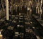 HOTN_2094.jpg