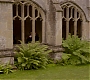 HOTN_2120.jpg