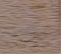 HOTN_2121.jpg