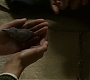 HOTN_2155.jpg