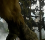 HOTN_2381.jpg