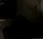 HOTN_2633.jpg