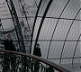 HOTN_2679.jpg