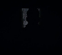 HOTN_3219.jpg