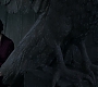 HOTN_3246.jpg