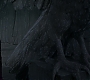 HOTN_3247.jpg