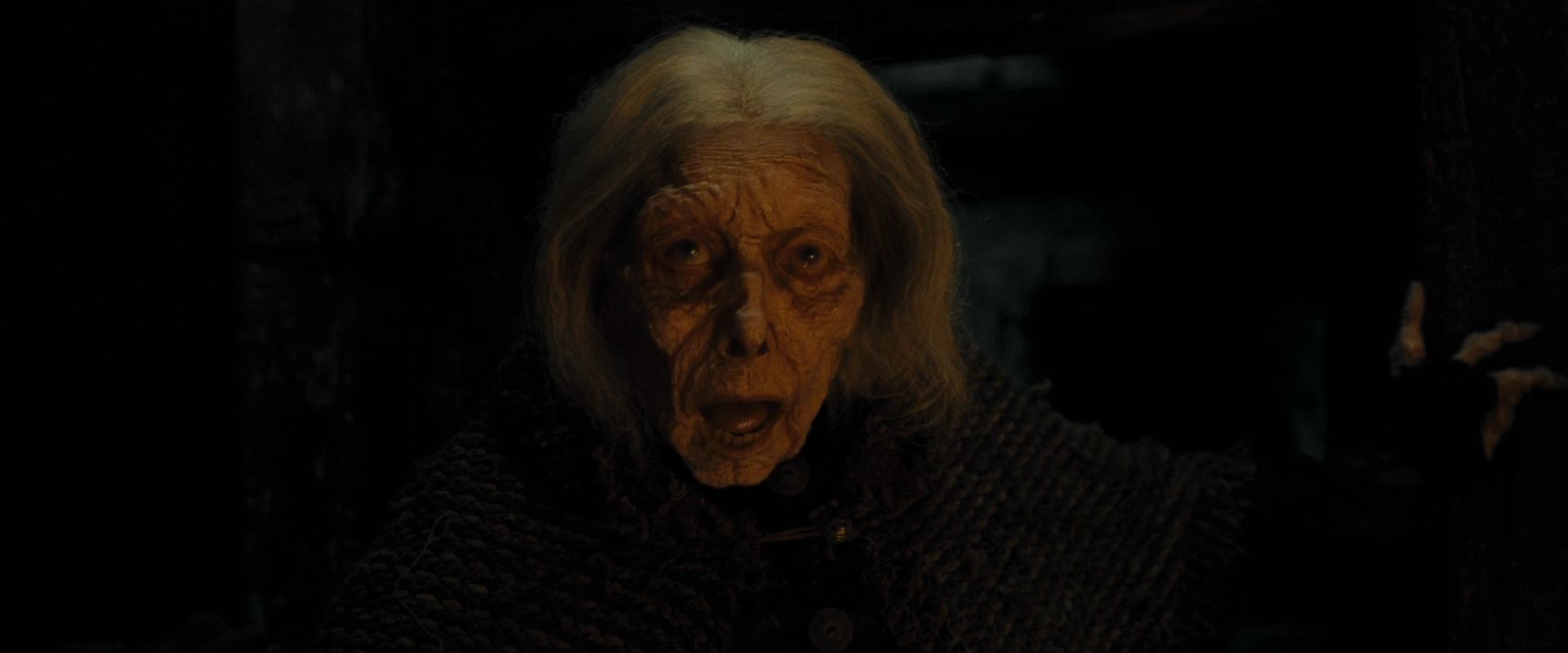 Батильда бэгшот фантастические твари. Батильда бэкшот. Батильда бэгшот фантастические твари. Батильда бэгшот. Батильда бэгшот нагайна.